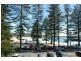 139B Oaks Avenue, Dee Why NSW 2099
