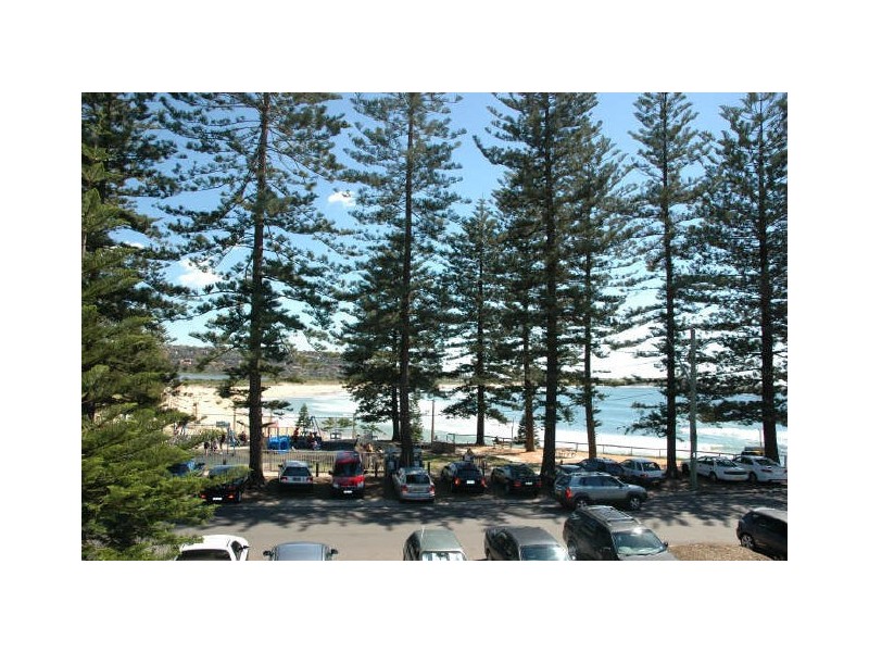 139B Oaks Avenue, Dee Why NSW 2099
