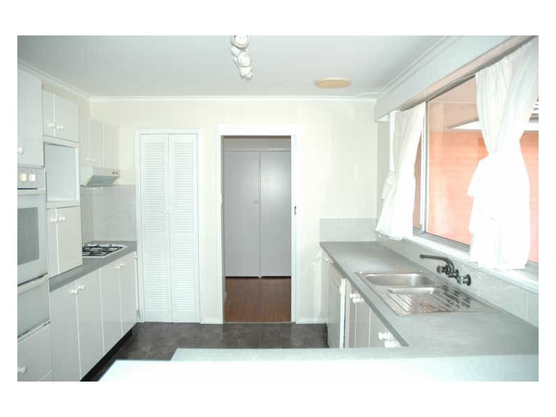 16 Beacon Avenue, Beacon Hill NSW 2100