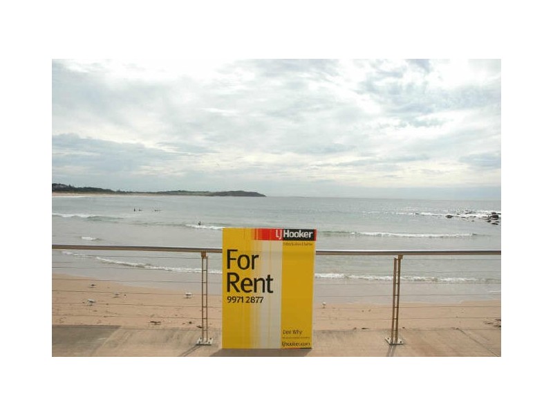 13/69 Lynwood Ave, Dee Why NSW 2099