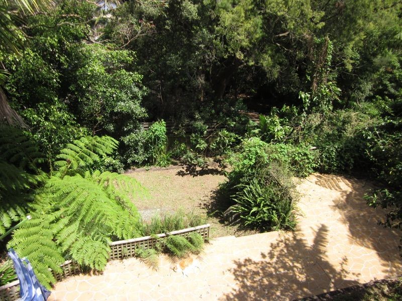 104 Parkes Road, Collaroy Plateau NSW 2097