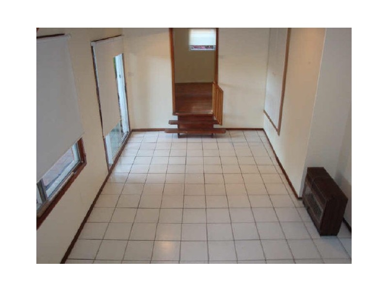 41 Arthur Street, Dee Why NSW 2099