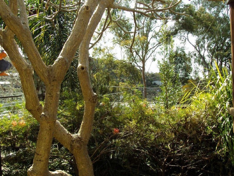 6A Denison Place, Cromer NSW 2099