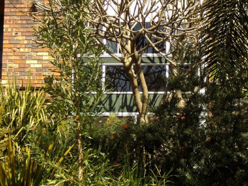 6A Denison Place, Cromer NSW 2099