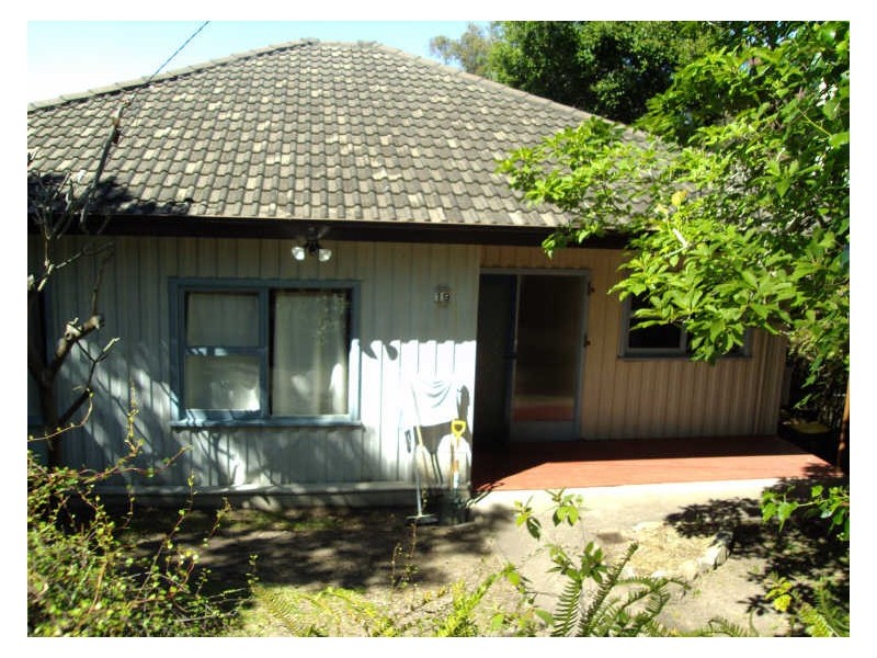 19 Gertrude Street, Beacon Hill NSW 2100