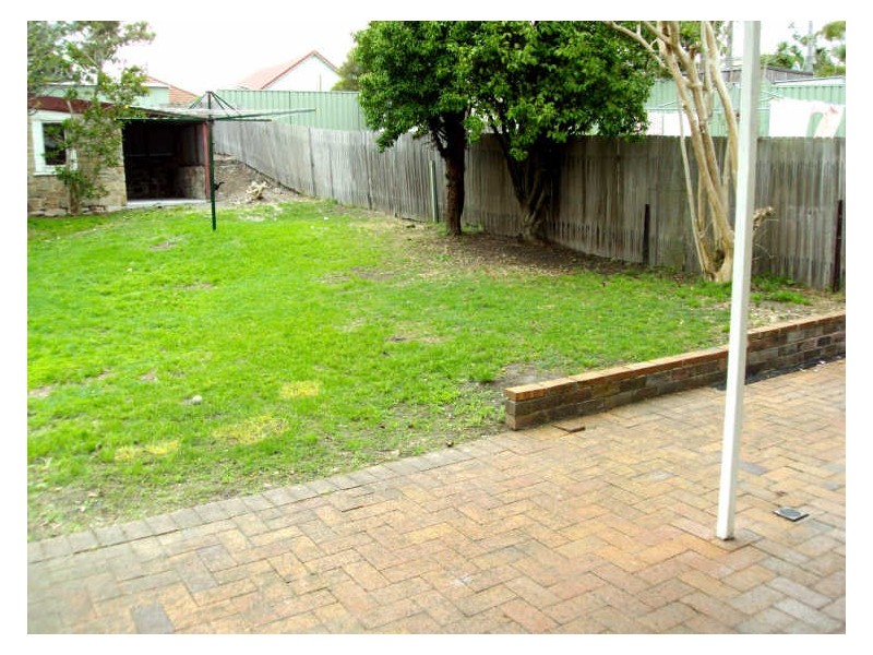 16 Wilson Street, Freshwater NSW 2096