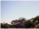 8/30 The Crescent, Dee Why NSW 2099