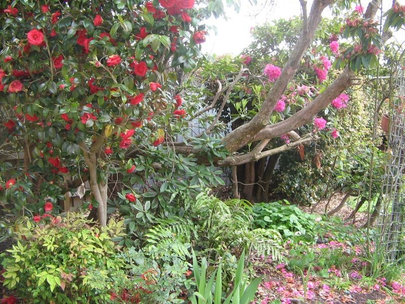 1095 Heatherton Road, Noble Park VIC 3174