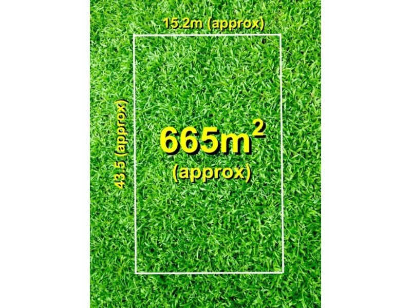 11 Dangerfield Drive, Springvale South VIC 3172