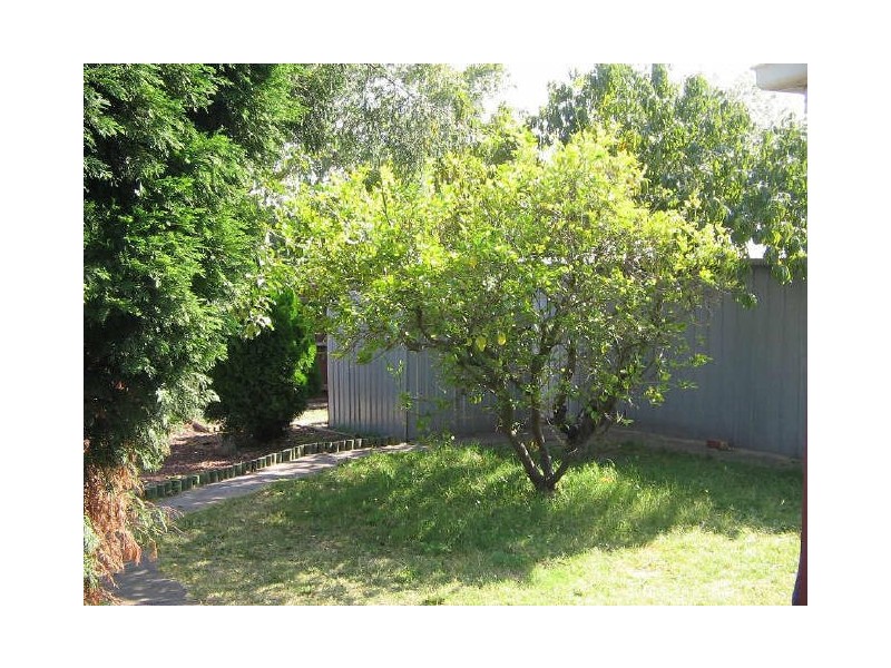 24 Walter Street, Noble Park VIC 3174