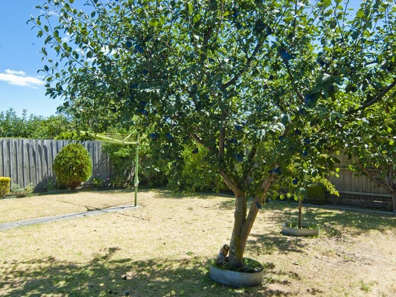 306 Chandler Road, Keysborough VIC 3173