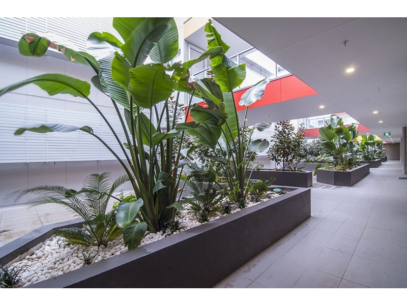 103/51-53 Buckley Street, Noble Park VIC 3174