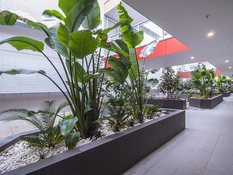 103/51-53 Buckley Street, Noble Park VIC 3174