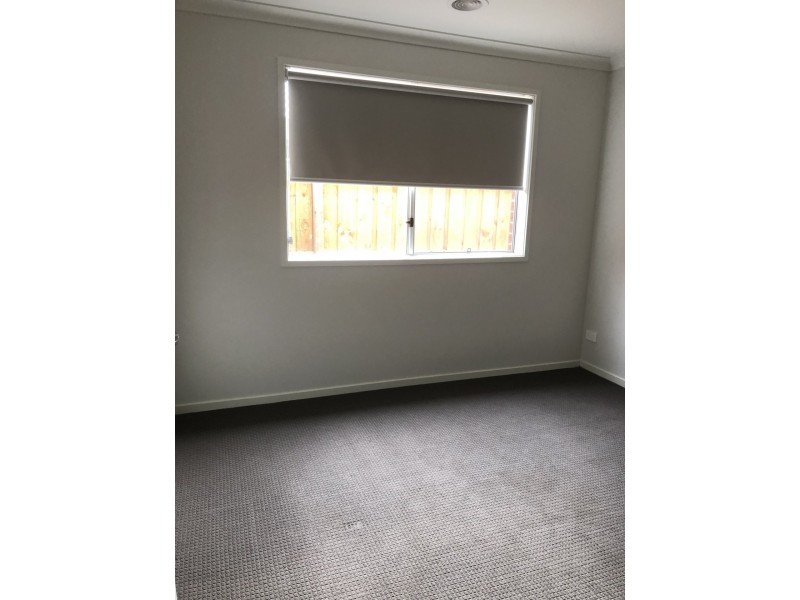 4 Curved Trunk Road, Officer VIC 3809