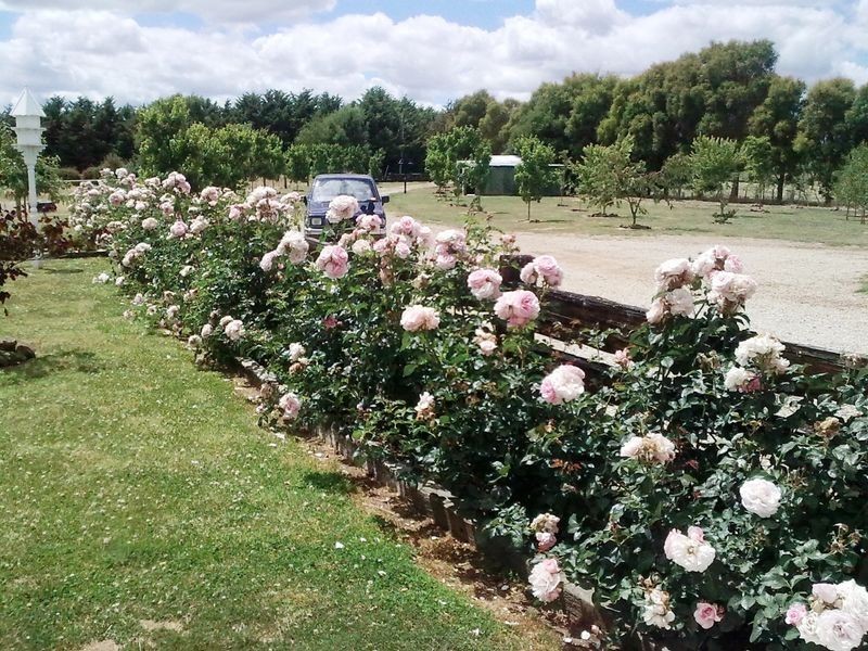 Westbury TAS 7303
