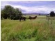 Westbury TAS 7303