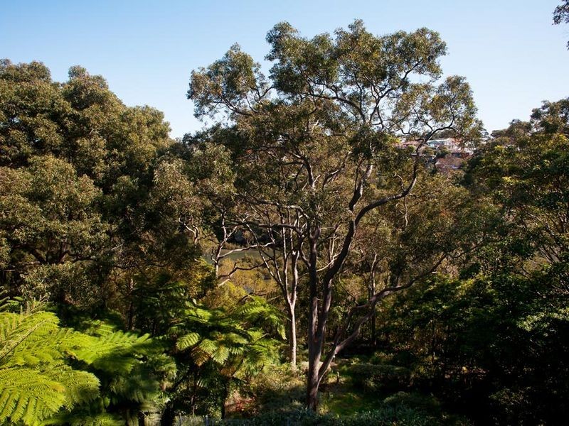 34 Milray Avenue, Wollstonecraft NSW 2065