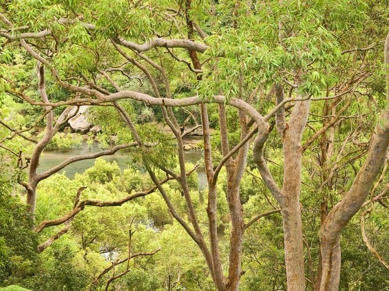 34 Milray Avenue, Wollstonecraft NSW 2065