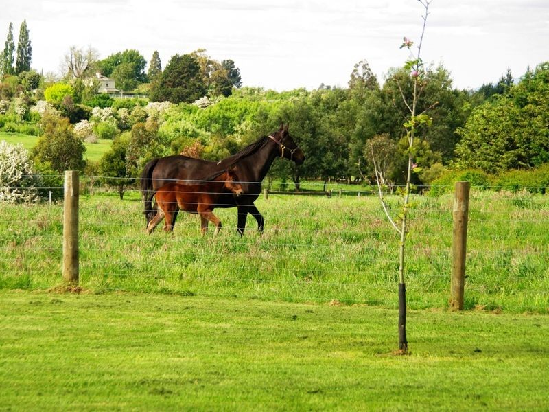 38-40 Elgin Lane, Westbury TAS 7303