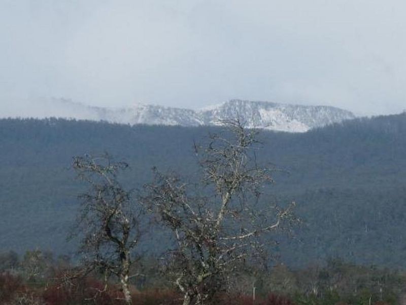 38-40 Elgin Lane, Westbury TAS 7303