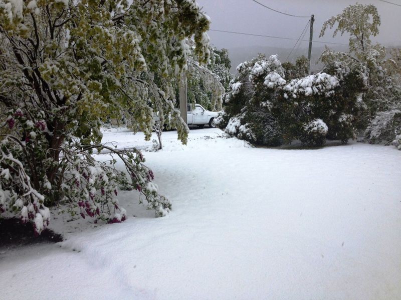 11 Warriga Street, Katoomba NSW 2780