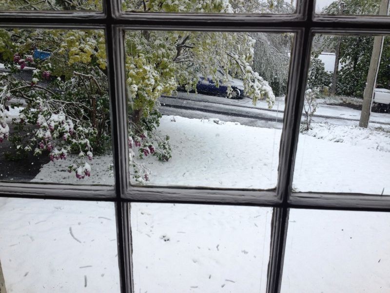 11 Warriga Street, Katoomba NSW 2780