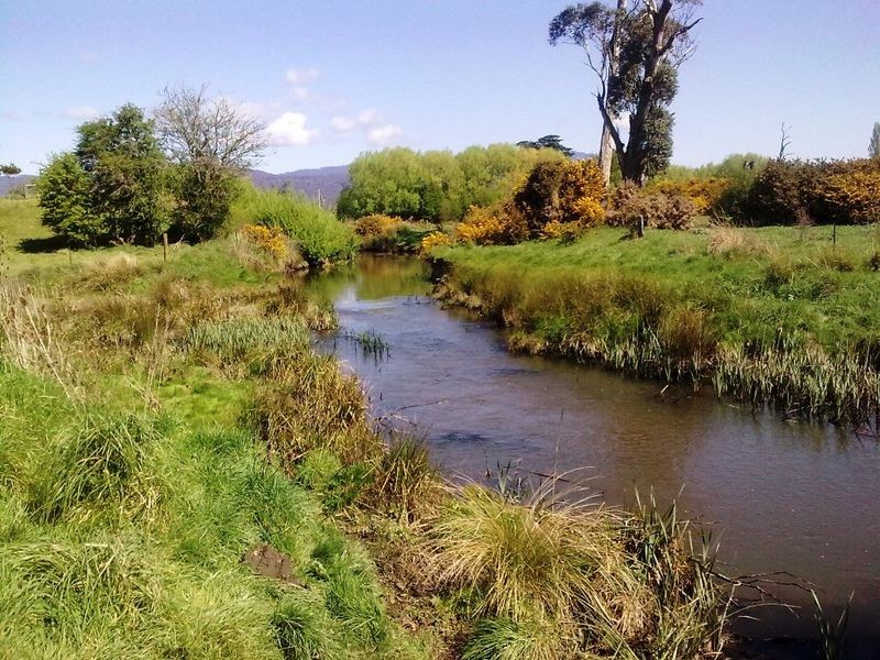 38 & 40 Elgin Lane, Westbury TAS 7303