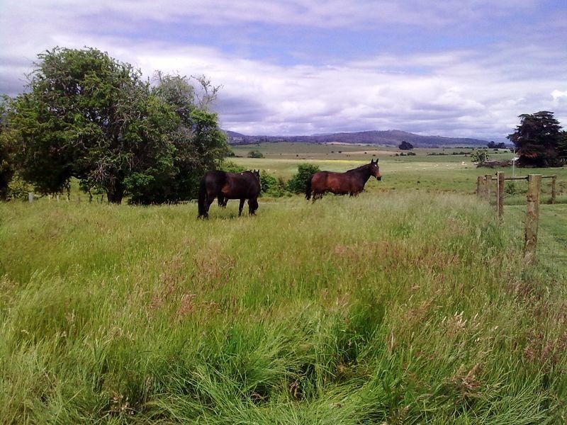 38 & 40 Elgin Lane, Westbury TAS 7303