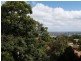 11/34 SINCLAIR STREET, Wollstonecraft NSW 2065