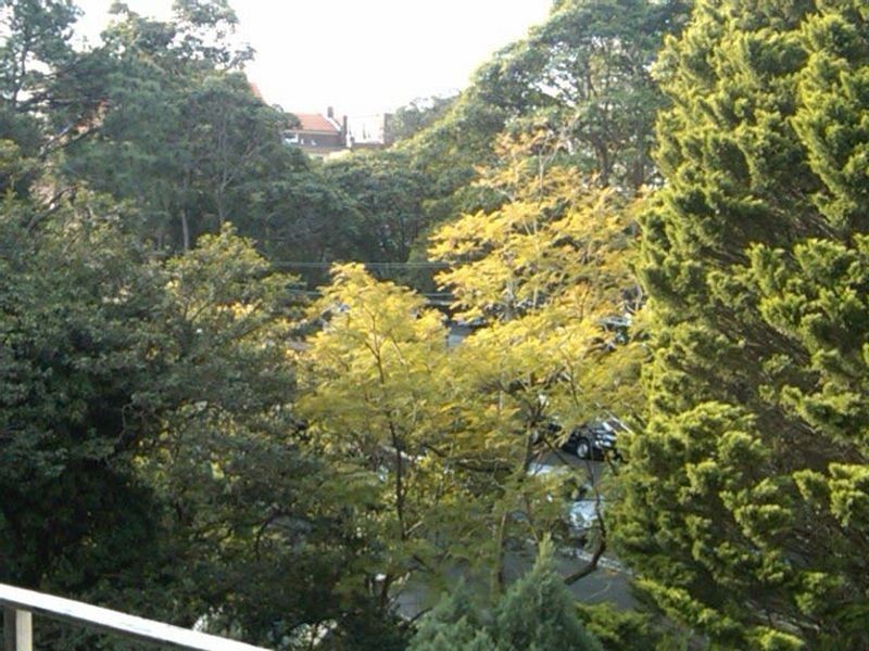 13/42-44 SINCLAIR STREET, Wollstonecraft NSW 2065