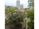 51 Mitchell Street, Naremburn NSW 2065