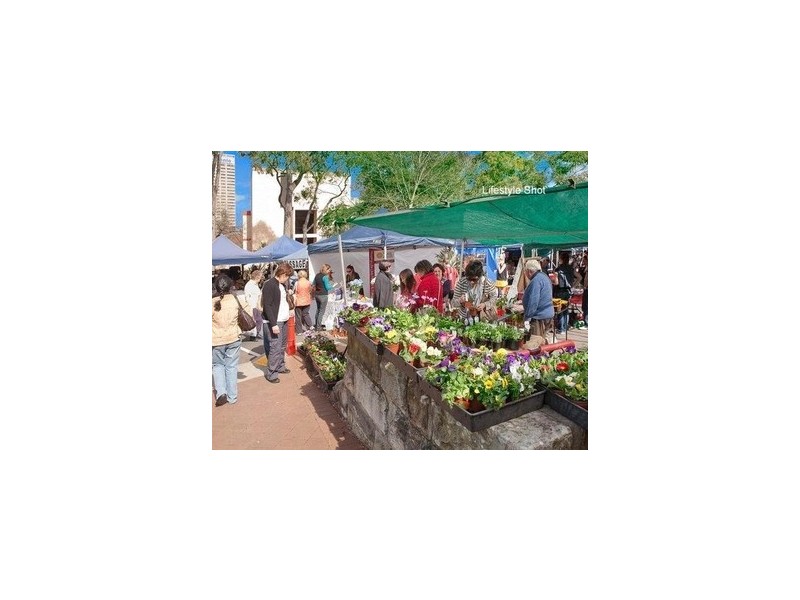 1/102 Falcon Street, Crows Nest NSW 2065