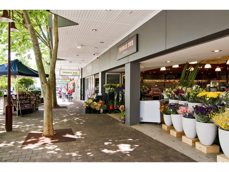 5 Alexander Street, Crows Nest NSW 2065