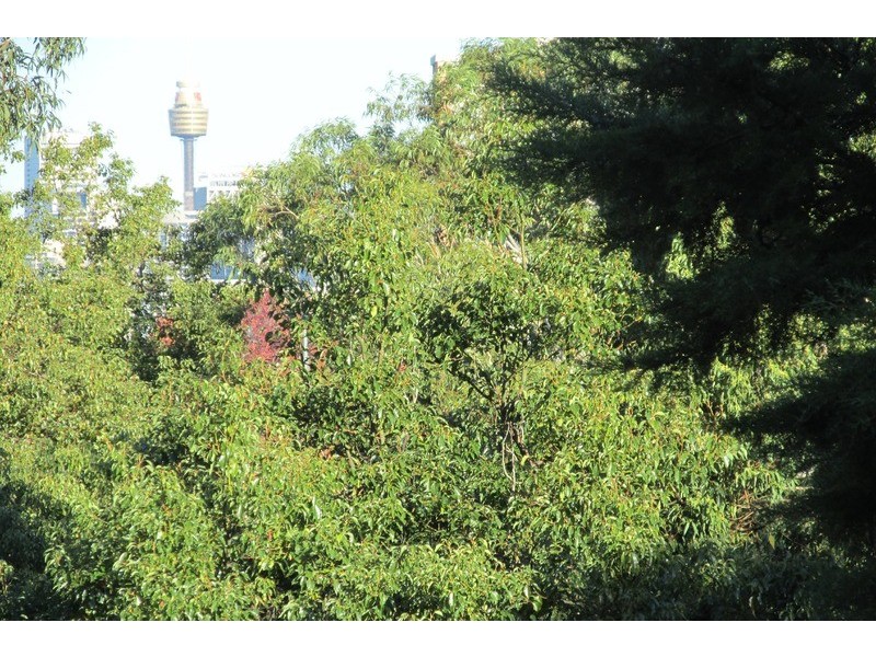 6/21 Belmont Avenue, Wollstonecraft NSW 2065