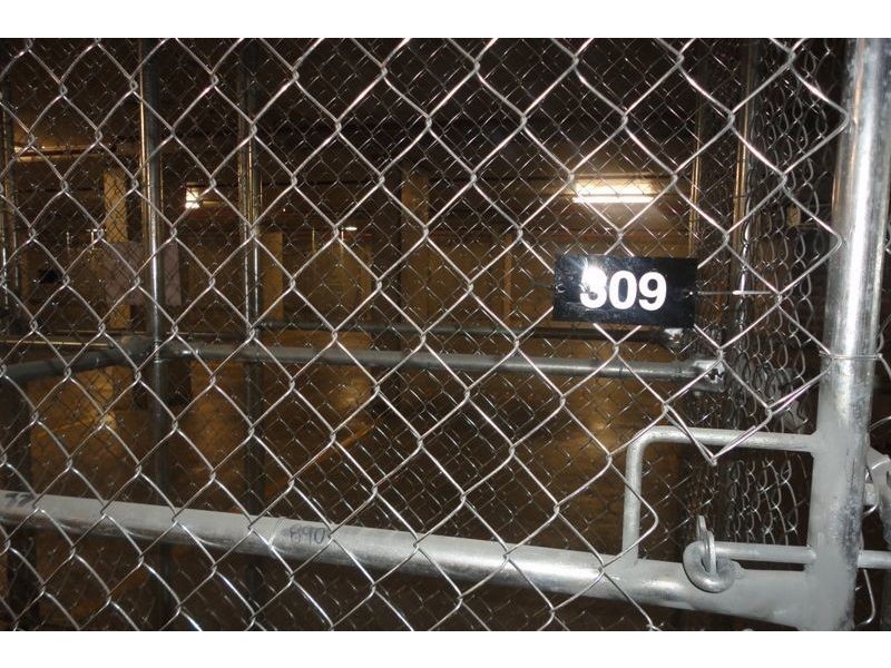 C309/6 Saunders Close, Macquarie Park NSW 2113