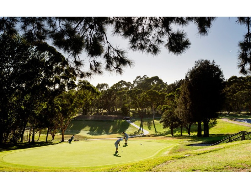 14/424 Mowbray Road, Lane Cove NSW 2066