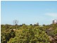 9/140 Ernest Street, Crows Nest NSW 2065