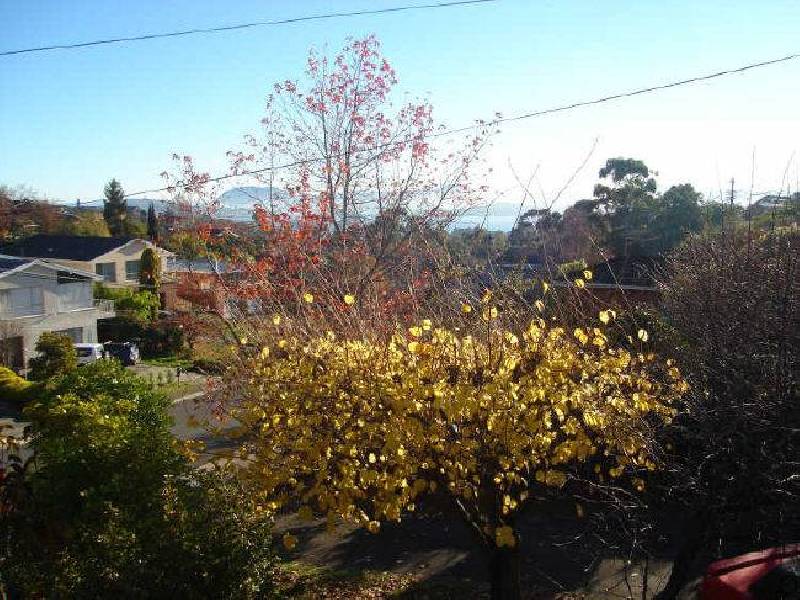 14 Coolabah Road, Sandy Bay TAS 7005