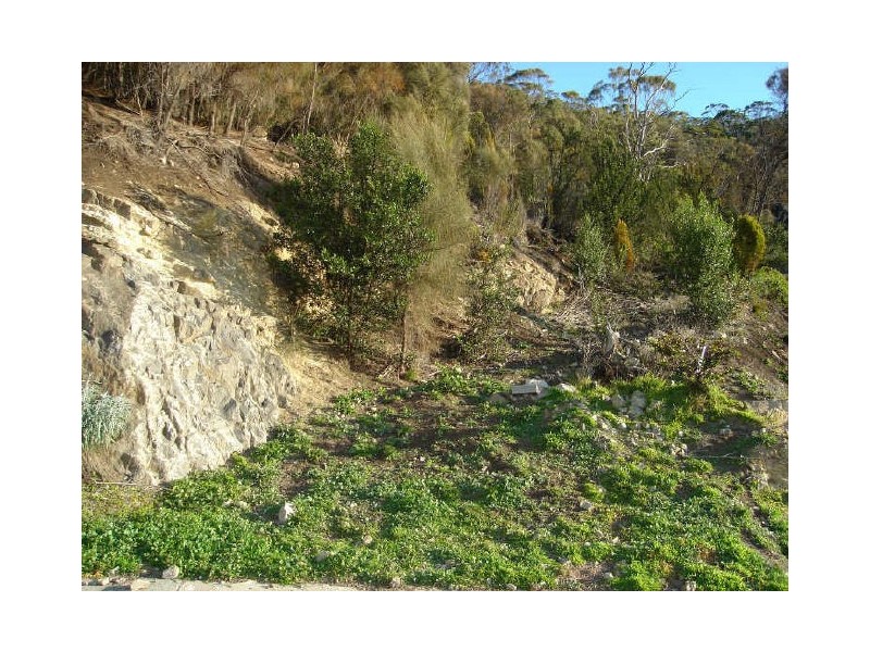 11 Date Court, Sandy Bay TAS 7005