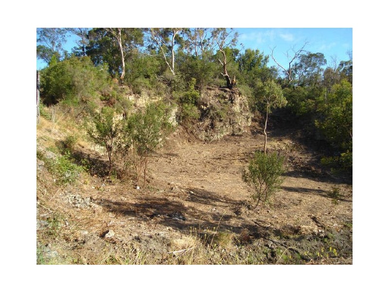 6 Tew Terrace, Sandy Bay TAS 7005