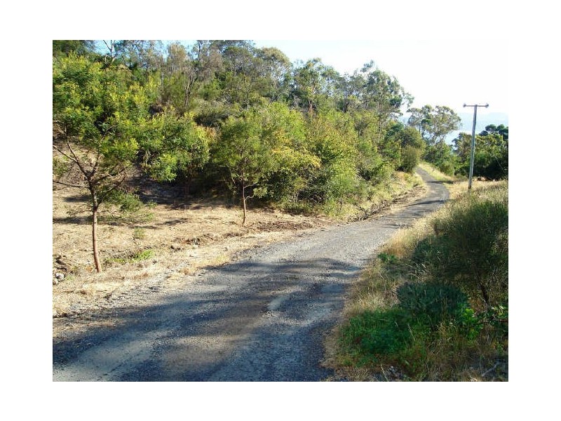 6 Tew Terrace, Sandy Bay TAS 7005