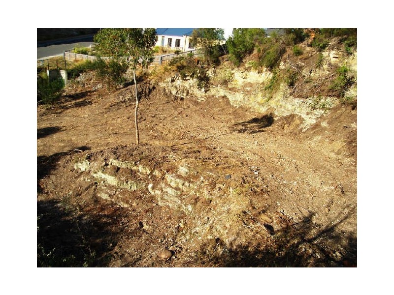 6 Tew Terrace, Sandy Bay TAS 7005