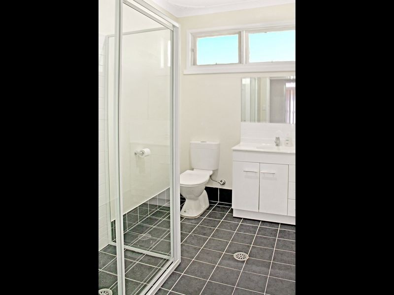 15 Russell Avenue, Adamstown Heights NSW 2289