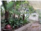 17 Albert Street, Wickham NSW 2293