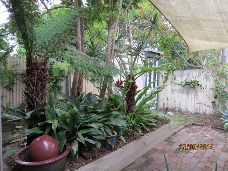 17 Albert Street, Wickham NSW 2293