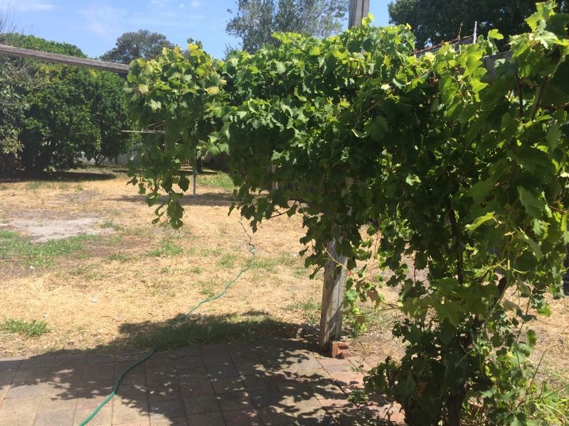 95 Cleary Street, Hamilton NSW 2303