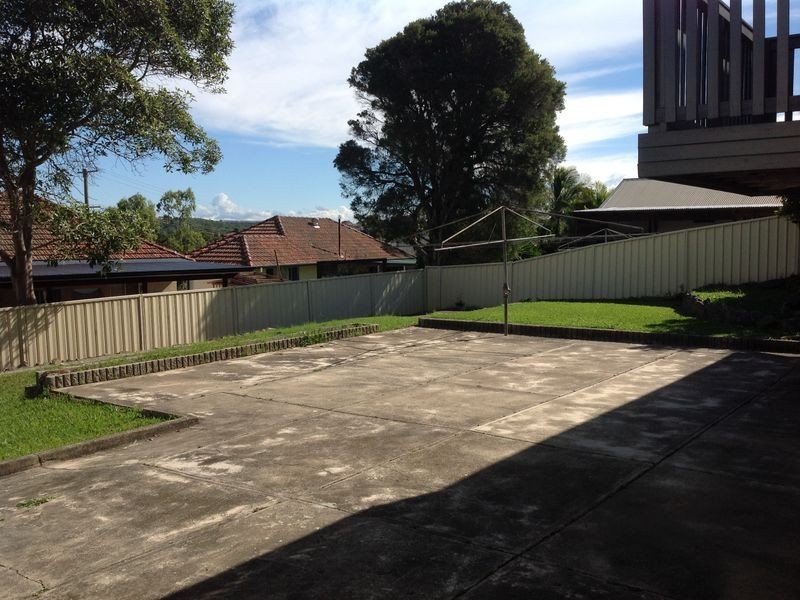 19 Branxton Street, Waratah West NSW 2298