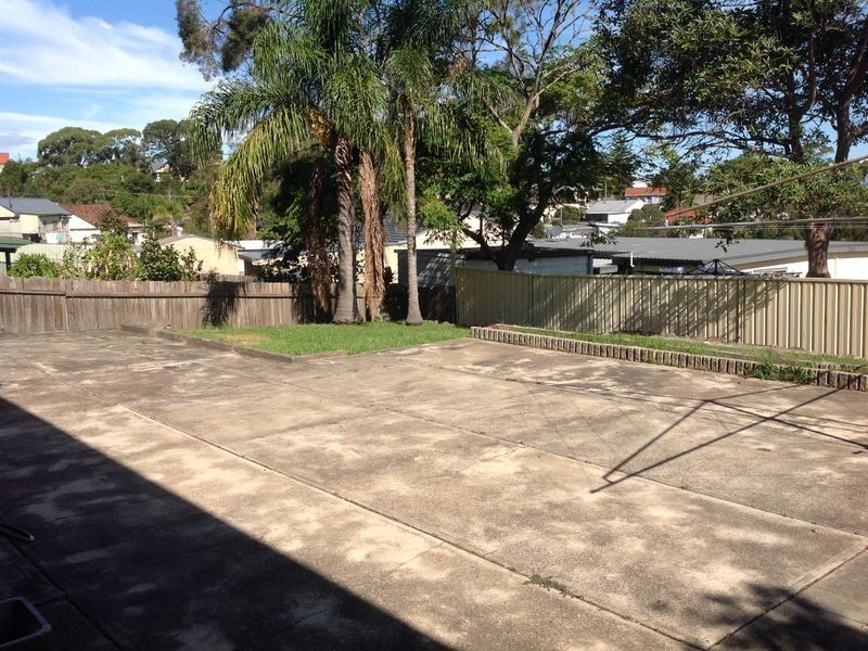 19 Branxton Street, Waratah West NSW 2298