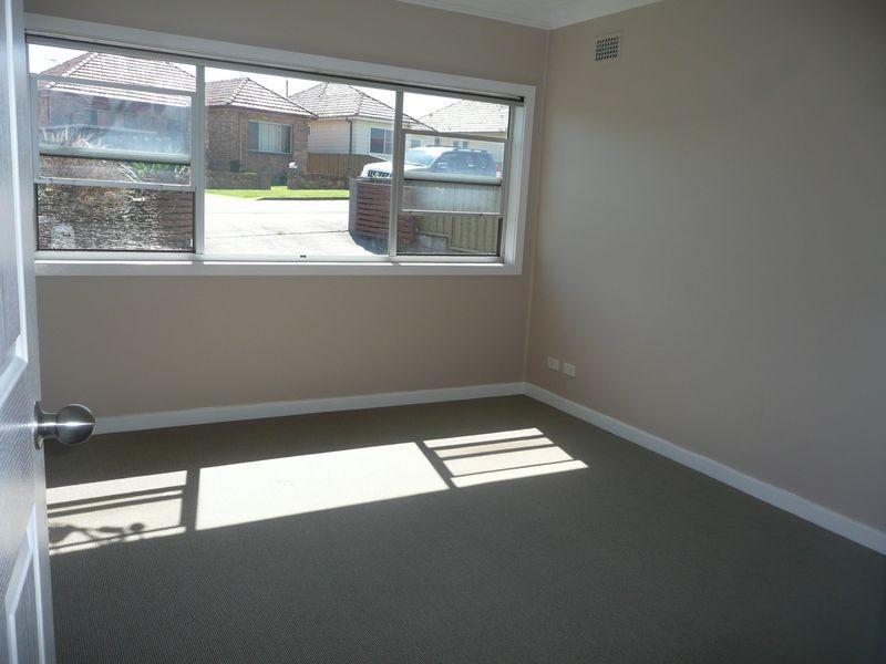 43 Norman Street, Waratah West NSW 2298