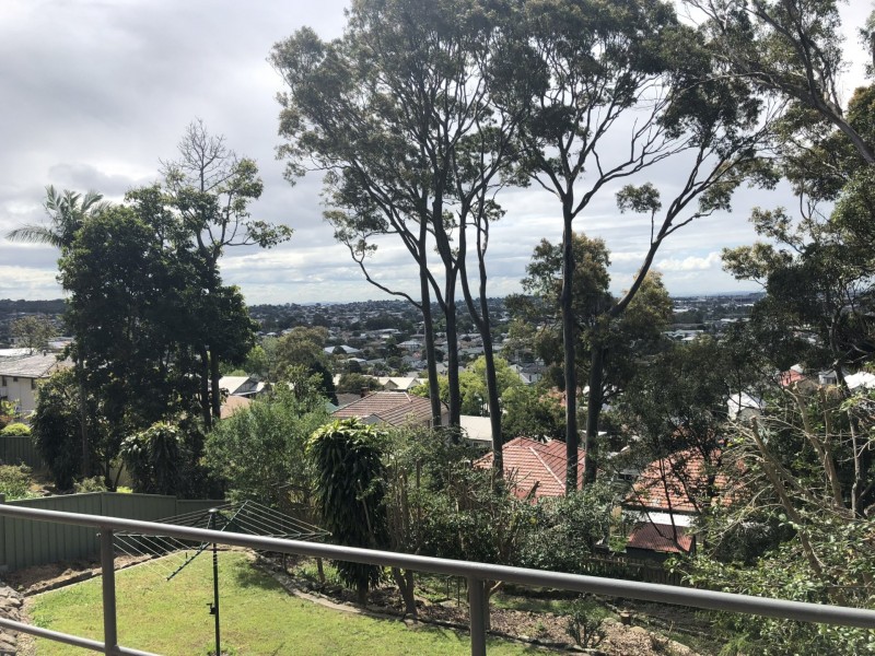 83 Garden Grove Parade, Adamstown Heights NSW 2289